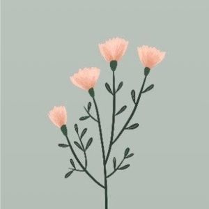 Meet your Posher, Aubrey